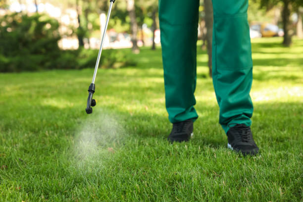 Best Termite Control Services  in West Lealman, FL