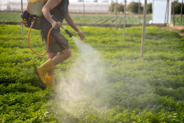 Best Pest Control Treatment  in West Lealman, FL