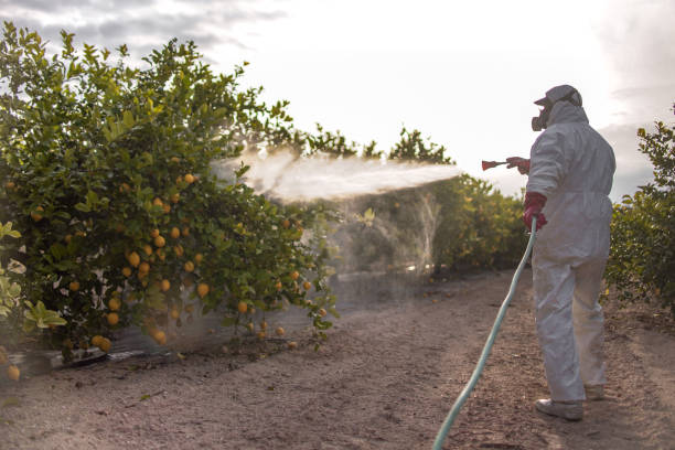 Reliable West Lealman, FL Pest Control Solutions