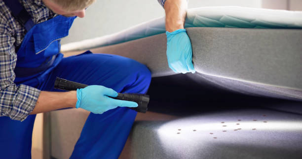 Pest Control for Restaurants in West Lealman, FL
