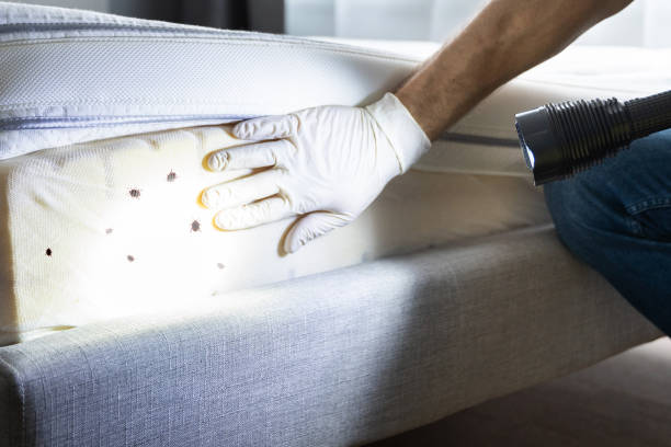 Best Best Pest Control Companies  in West Lealman, FL