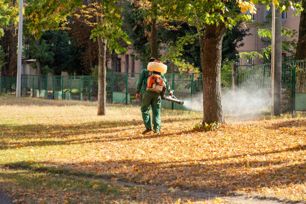 Best Pest Inspection Near Me  in West Lealman, FL