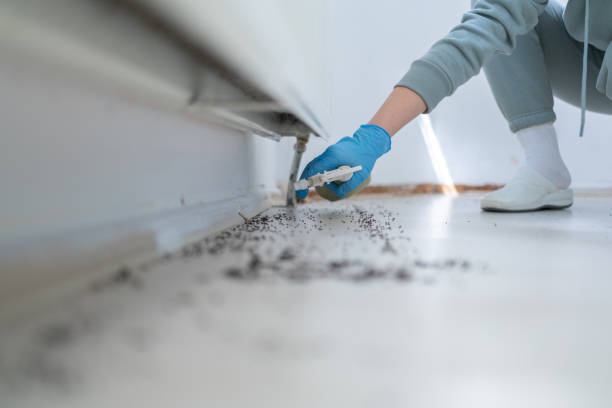 Best Cockroach Control Services  in West Lealman, FL